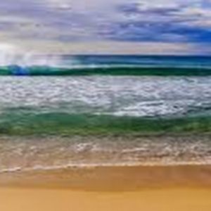 Meet your Posher, Brenna